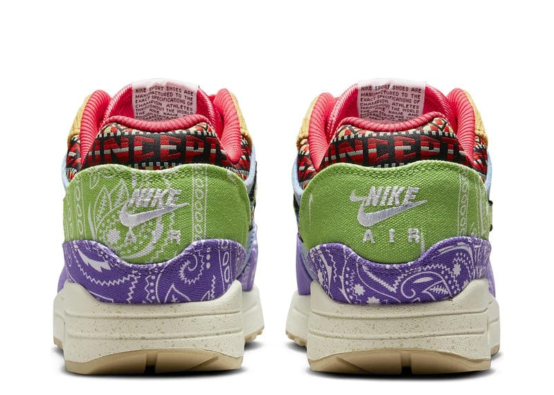 Nike Air Max 1 SP Concepts Far Out