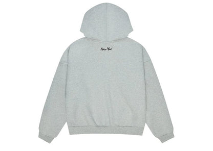 Broken Planet Sun Zip-Up Hoodie Heather Grey