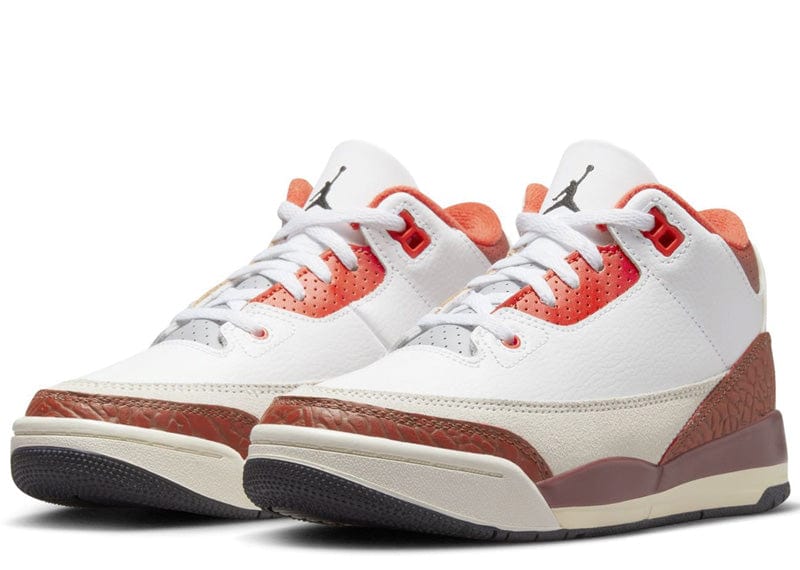 Jordan 3 Retro SE Dunk on Mars (GS)