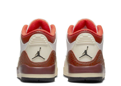 Jordan 3 Retro SE Dunk on Mars (GS)