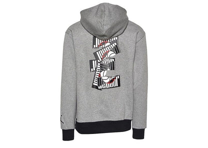 Nike Air Jordan Sport DNA Fleece Hoodie grey