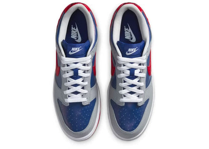 Nike Dunk Low Co.JP Samba (2020)