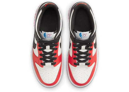 Nike Dunk Low EMB NBA 75th Anniversary Chicago (GS)