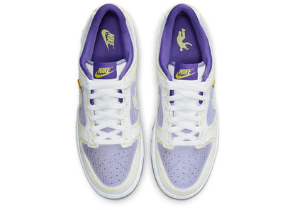 Nike Dunk Low Union Passport Pack Court Purple