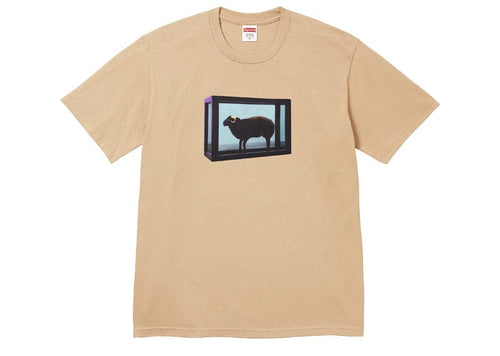 Supreme Black Sheep Tee Brown